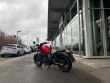 Honda 500 Rebel bei Sportwagen.expert - Abbildung (4 / 12)