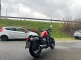 Honda 500 Rebel bei Sportwagen.expert - Abbildung (5 / 12)