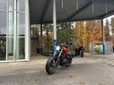 Honda 500 Rebel bei Sportwagen.expert - Abbildung (2 / 12)