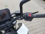 KTM 390 bei Sportwagen.expert - Abbildung (15 / 15)