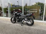 Suzuki GSF bei Sportwagen.expert - Abbildung (9 / 15)