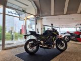 Kawasaki Z 650 bei Sportwagen.expert - Abbildung (4 / 9)