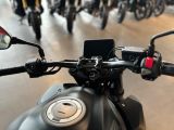 Honda Andere bei Sportwagen.expert - Abbildung (6 / 7)