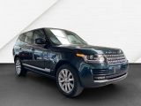 Land Rover Range Rover bei Sportwagen.expert - Abbildung (14 / 15)