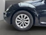 VW Beetle bei Sportwagen.expert - Abbildung (4 / 15)