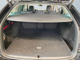 Skoda Octavia bei Sportwagen.expert - Abbildung (14 / 15)