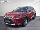 Lexus NX bei Sportwagen.expert - Abbildung (2 / 15)