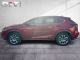 Lexus NX bei Sportwagen.expert - Abbildung (3 / 15)