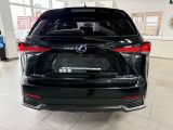 Lexus NX bei Sportwagen.expert - Abbildung (6 / 15)