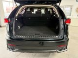 Lexus NX bei Sportwagen.expert - Abbildung (7 / 15)