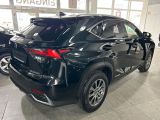 Lexus NX bei Sportwagen.expert - Abbildung (7 / 15)