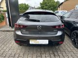 Mazda 3 bei Sportwagen.expert - Abbildung (3 / 9)
