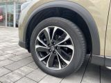 Mazda CX 5 bei Sportwagen.expert - Abbildung (15 / 15)