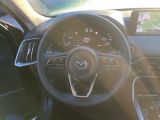 Mazda CX-60 bei Sportwagen.expert - Abbildung (5 / 9)
