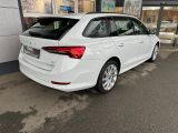 Skoda Octavia bei Sportwagen.expert - Abbildung (4 / 15)