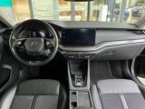 Skoda Octavia bei Sportwagen.expert - Abbildung (6 / 15)