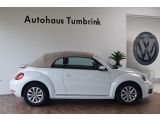 VW Beetle bei Sportwagen.expert - Abbildung (5 / 15) VW Beetle bei Sportwagen.expert - Abbildung (5 / 15)