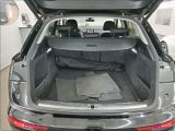 Audi Q5 bei Sportwagen.expert - Abbildung (11 / 13)