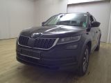 Skoda Kodiaq bei Sportwagen.expert - Abbildung (2 / 15)