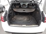 Mercedes-Benz C 4M bei Sportwagen.expert - Abbildung (11 / 15)
