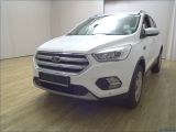 Ford Kuga bei Sportwagen.expert - Abbildung (2 / 13)