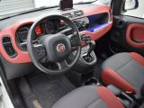 Fiat Panda bei Sportwagen.expert - Abbildung (7 / 15)