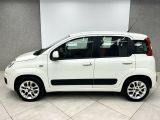 Fiat Panda bei Sportwagen.expert - Abbildung (3 / 15)