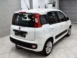 Fiat Panda bei Sportwagen.expert - Abbildung (15 / 15)