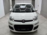 Fiat Panda bei Sportwagen.expert - Abbildung (11 / 15)