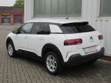 Citroen C4 Cactus bei Sportwagen.expert - Abbildung (4 / 15)