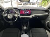 Skoda Octavia bei Sportwagen.expert - Abbildung (12 / 15)