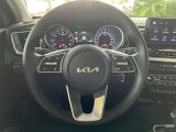Kia Ceed bei Sportwagen.expert - Abbildung (14 / 15)