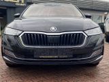 Skoda Octavia bei Sportwagen.expert - Abbildung (2 / 15)