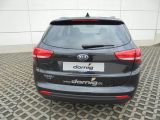 Kia Ceed bei Sportwagen.expert - Abbildung (6 / 14)