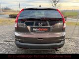 Honda CR-V bei Sportwagen.expert - Abbildung (4 / 15)