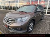 Honda CR-V bei Sportwagen.expert - Abbildung (8 / 15)
