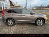 Honda CR-V bei Sportwagen.expert - Abbildung (2 / 15)