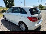 Mercedes-Benz B-Klasse bei Sportwagen.expert - Abbildung (6 / 15)