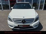 Mercedes-Benz B-Klasse bei Sportwagen.expert - Abbildung (9 / 15)