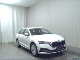 Skoda Octavia bei Sportwagen.expert - Abbildung (3 / 13)