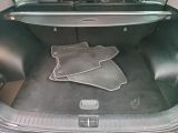 Kia Sportage bei Sportwagen.expert - Abbildung (11 / 15)