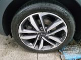Kia Sportage bei Sportwagen.expert - Abbildung (10 / 15)