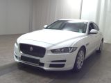 Jaguar XE bei Sportwagen.expert - Abbildung (2 / 15)