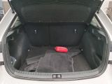 Skoda Scala bei Sportwagen.expert - Abbildung (12 / 15)