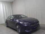 Kia Stinger bei Sportwagen.expert - Abbildung (3 / 15)