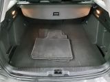 Ford Focus Turnier bei Sportwagen.expert - Abbildung (11 / 15)