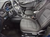 Ford Kuga bei Sportwagen.expert - Abbildung (8 / 13)