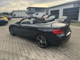 BMW 2er bei Sportwagen.expert - Abbildung (4 / 15)