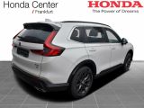 Honda CR-V bei Sportwagen.expert - Abbildung (2 / 15)