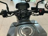 Honda CB 750 Hornet bei Sportwagen.expert - Abbildung (5 / 7)